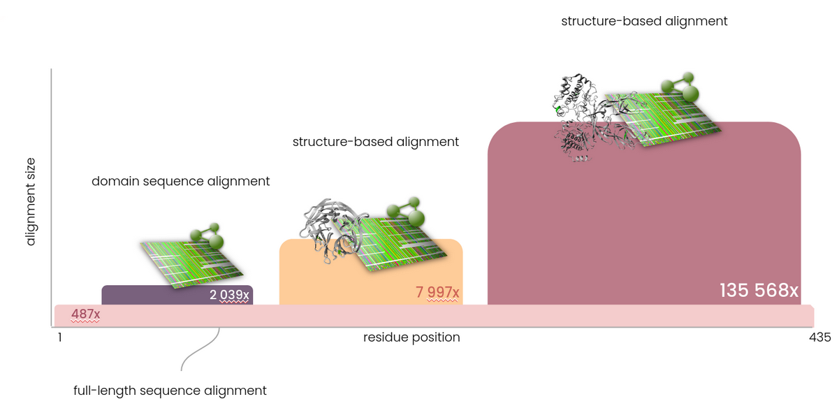 Illustration of the principles behind using multiple alignments for
annotating a single human protein. Every single position is covered by
the full length alignment, while select areas are enhanced by using
domain or structure-based alignments.